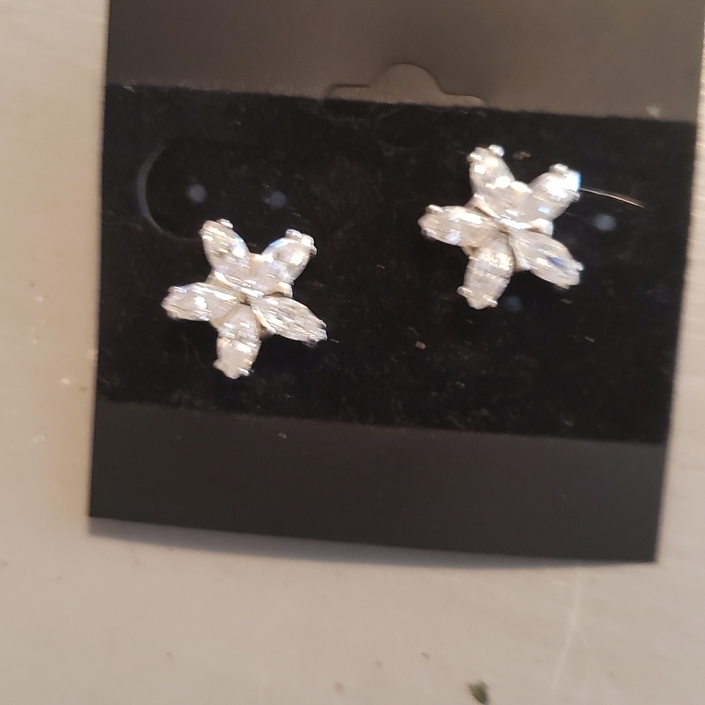 Sterling silver earrings. Hp🔥🔥